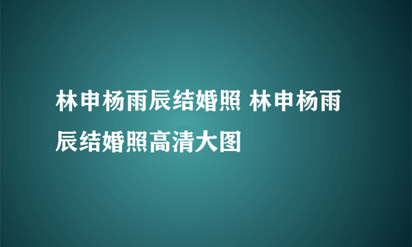 林申杨雨辰结婚照 林申杨雨辰结婚照高清大图