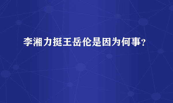 李湘力挺王岳伦是因为何事？