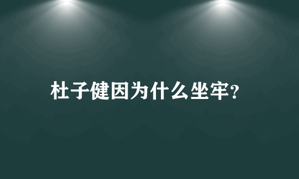 杜子健因为什么坐牢？