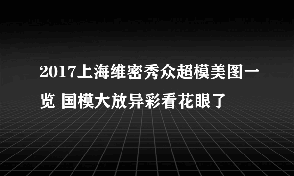 2017上海维密秀众超模美图一览 国模大放异彩看花眼了