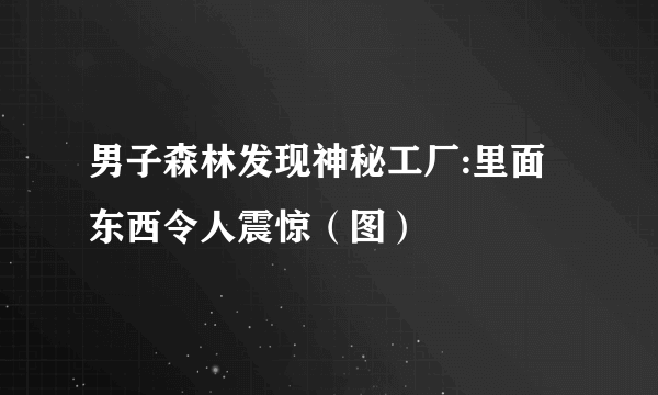 男子森林发现神秘工厂:里面东西令人震惊（图）