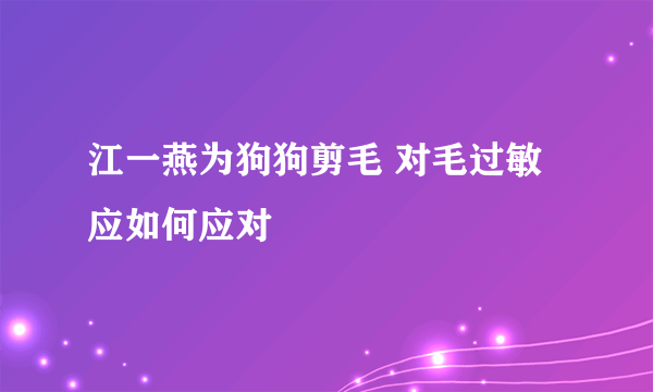 江一燕为狗狗剪毛 对毛过敏应如何应对