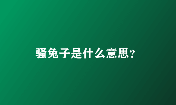 骚兔子是什么意思？