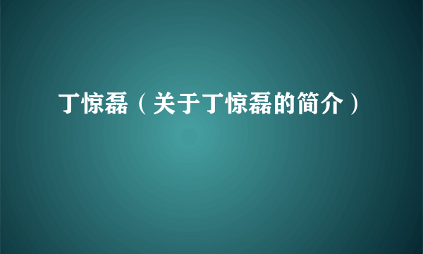 丁惊磊（关于丁惊磊的简介）