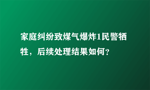 家庭纠纷致煤气爆炸1民警牺牲，后续处理结果如何？