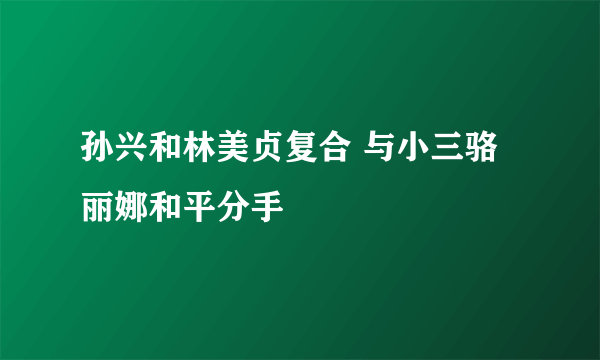 孙兴和林美贞复合 与小三骆丽娜和平分手