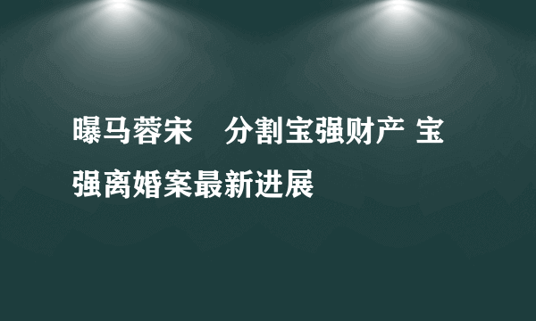 曝马蓉宋喆分割宝强财产 宝强离婚案最新进展