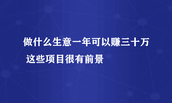 做什么生意一年可以赚三十万 这些项目很有前景