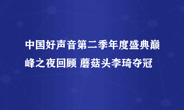 中国好声音第二季年度盛典巅峰之夜回顾 蘑菇头李琦夺冠