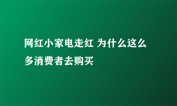 网红小家电走红 为什么这么多消费者去购买