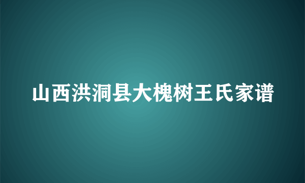 山西洪洞县大槐树王氏家谱