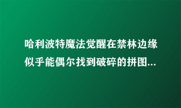 哈利波特魔法觉醒在禁林边缘似乎能偶尔找到破碎的拼图寻宝攻略