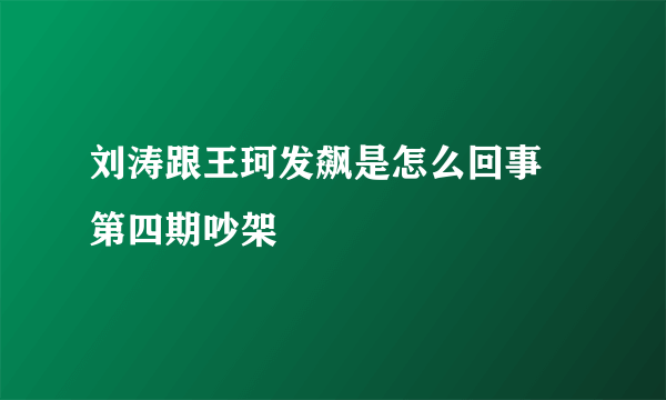 刘涛跟王珂发飙是怎么回事 第四期吵架