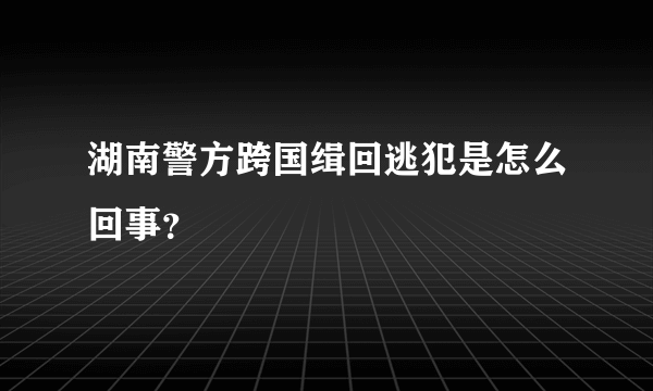 湖南警方跨国缉回逃犯是怎么回事？