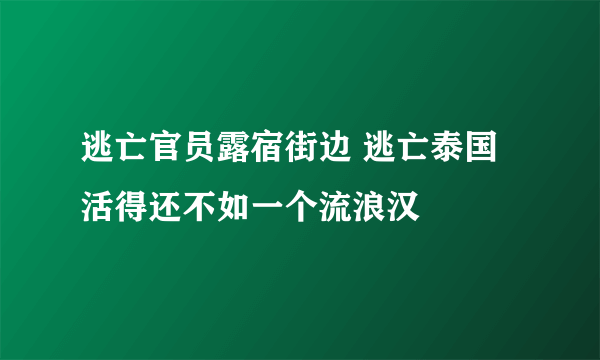 逃亡官员露宿街边 逃亡泰国活得还不如一个流浪汉