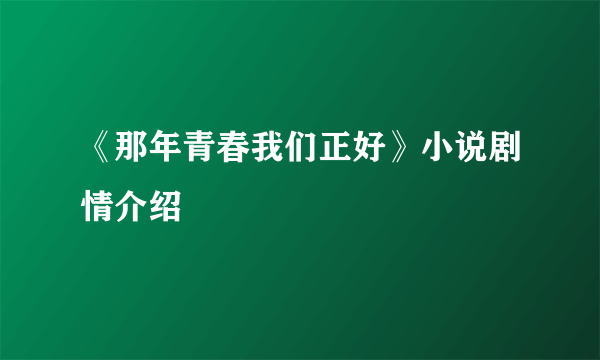 《那年青春我们正好》小说剧情介绍