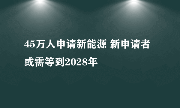 45万人申请新能源 新申请者或需等到2028年