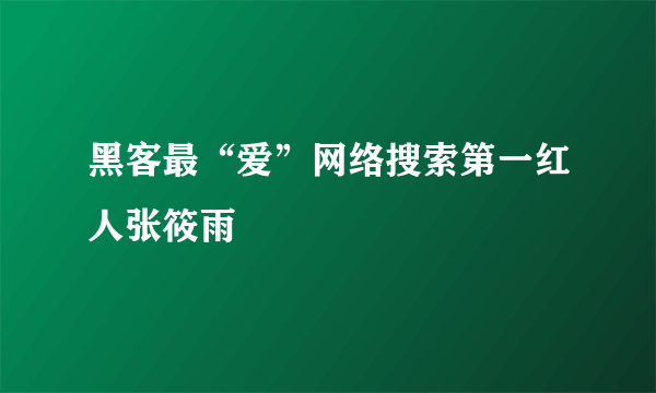 黑客最“爱”网络搜索第一红人张筱雨