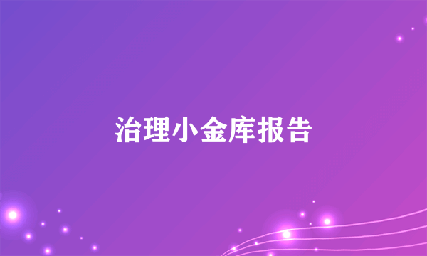 治理小金库报告