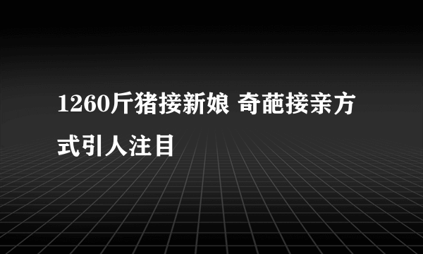 1260斤猪接新娘 奇葩接亲方式引人注目