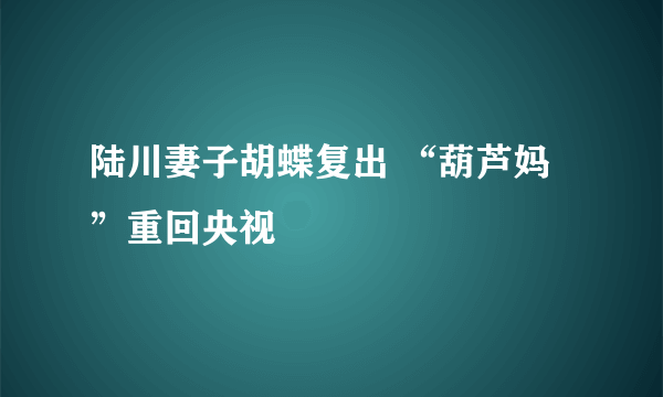 陆川妻子胡蝶复出 “葫芦妈”重回央视