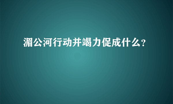 湄公河行动并竭力促成什么？