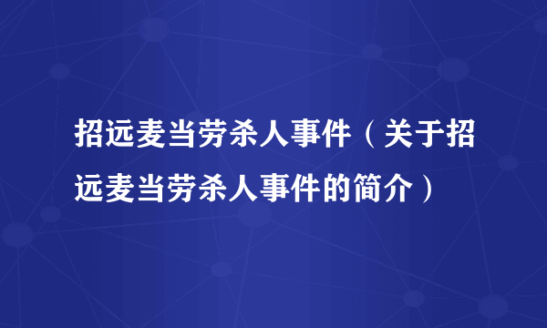 招远麦当劳杀人事件（关于招远麦当劳杀人事件的简介）