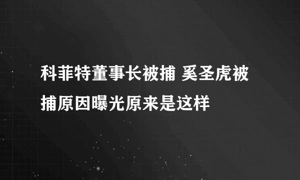 科菲特董事长被捕 奚圣虎被捕原因曝光原来是这样