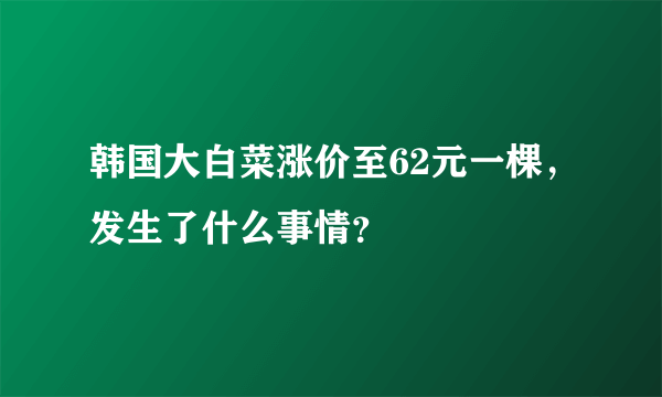 韩国大白菜涨价至62元一棵，发生了什么事情？