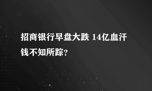 招商银行早盘大跌 14亿血汗钱不知所踪？