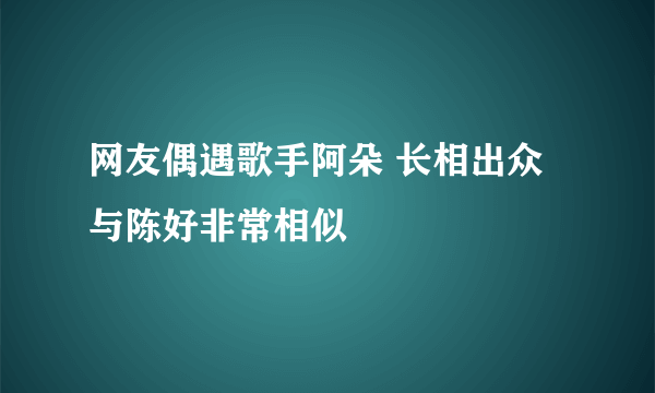 网友偶遇歌手阿朵 长相出众与陈好非常相似