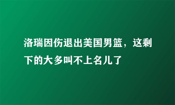 洛瑞因伤退出美国男篮，这剩下的大多叫不上名儿了