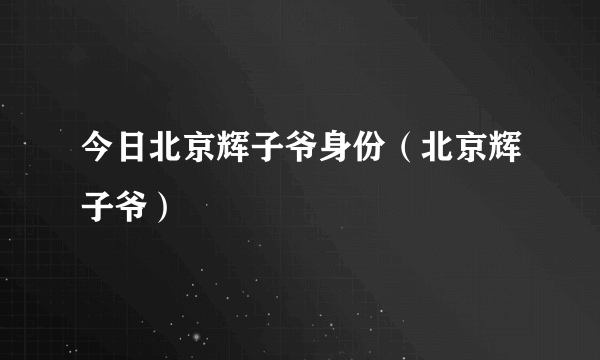 今日北京辉子爷身份（北京辉子爷）