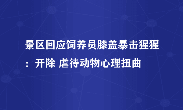 景区回应饲养员膝盖暴击猩猩：开除 虐待动物心理扭曲