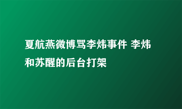 夏航燕微博骂李炜事件 李炜和苏醒的后台打架