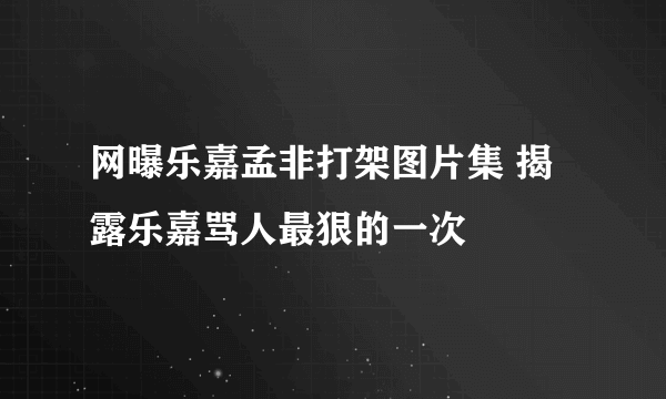 网曝乐嘉孟非打架图片集 揭露乐嘉骂人最狠的一次