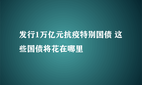 发行1万亿元抗疫特别国债 这些国债将花在哪里