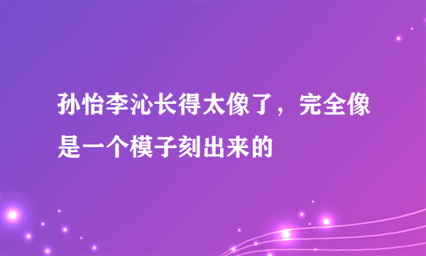 孙怡李沁长得太像了，完全像是一个模子刻出来的 