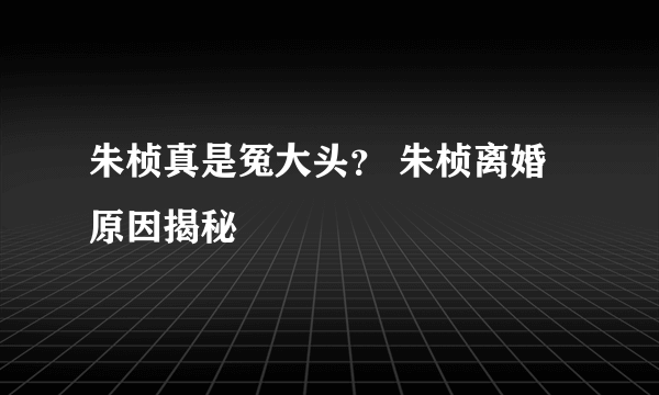 朱桢真是冤大头？ 朱桢离婚原因揭秘