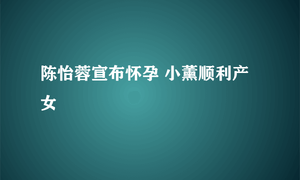 陈怡蓉宣布怀孕 小薰顺利产女