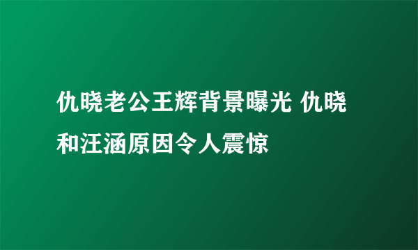 仇晓老公王辉背景曝光 仇晓和汪涵原因令人震惊