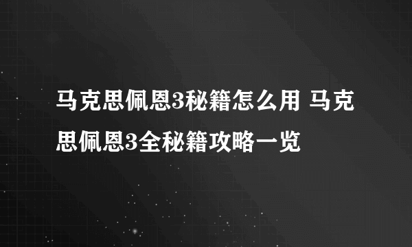 马克思佩恩3秘籍怎么用 马克思佩恩3全秘籍攻略一览