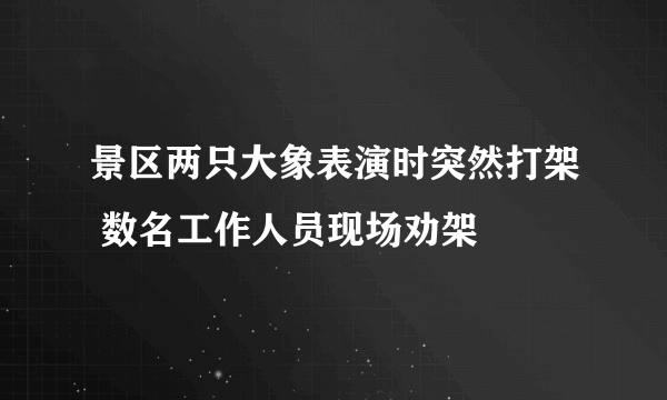 景区两只大象表演时突然打架 数名工作人员现场劝架