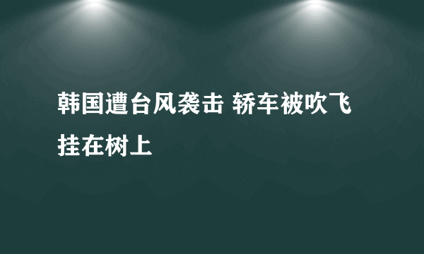 韩国遭台风袭击 轿车被吹飞挂在树上