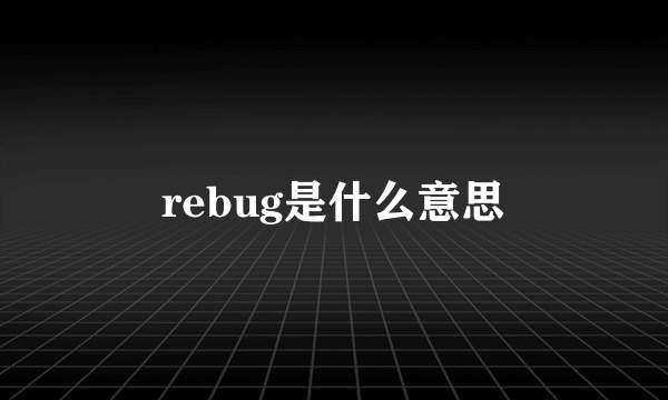 rebug是什么意思