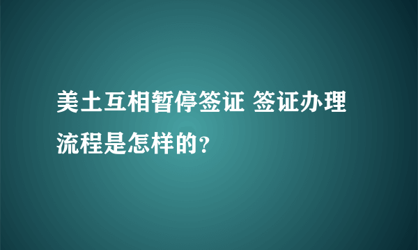 美土互相暂停签证 签证办理流程是怎样的？