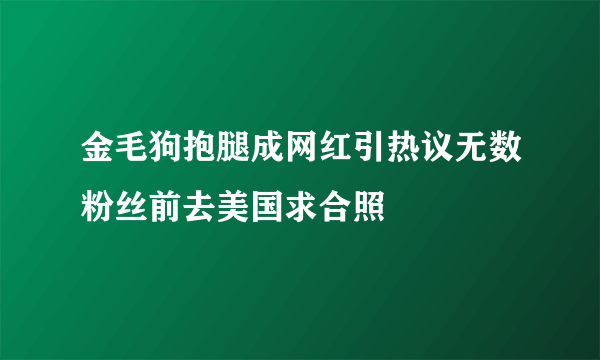 金毛狗抱腿成网红引热议无数粉丝前去美国求合照