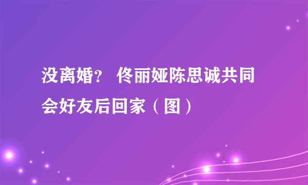 没离婚？ 佟丽娅陈思诚共同会好友后回家（图）