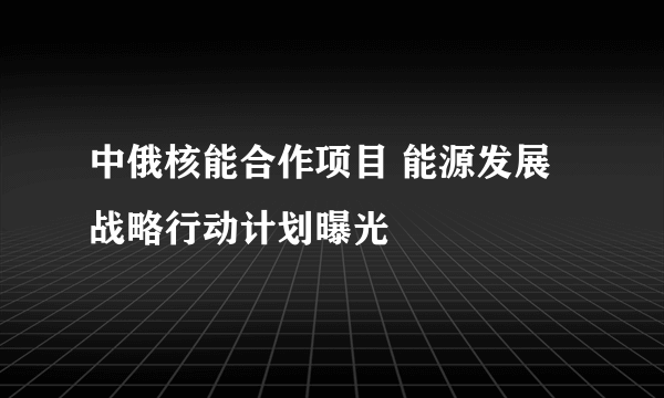 中俄核能合作项目 能源发展战略行动计划曝光