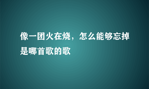 像一团火在烧，怎么能够忘掉是哪首歌的歌